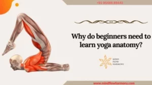 Read more about the article Why beginners need to learn yoga anatomy ?