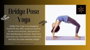 Read more about the article What Is Bridge Pose Yoga?  Setu Bandhasana – Benefits, Precautions