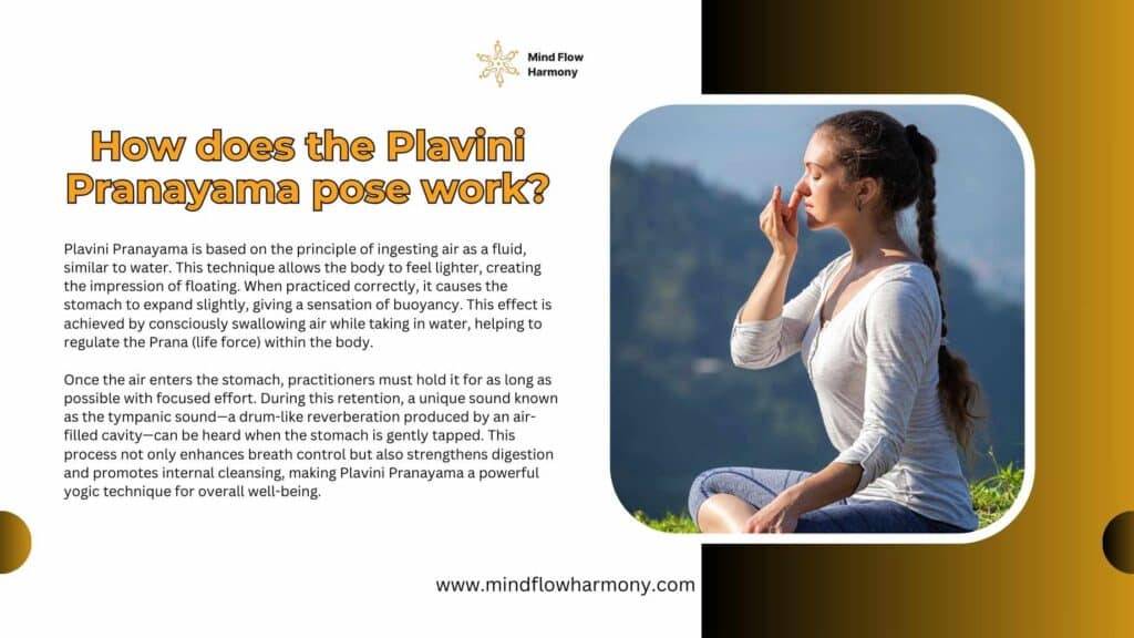 How does the Plavini Pranayama pose work