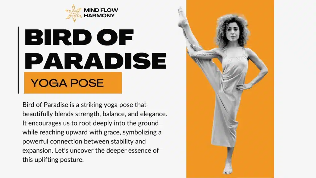 Read more about the article Bird of Paradise Yoga Pose – Step-by-Step Guide, Benefits & Tips