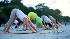 200 Hour Yoga Teacher training in Rishikesh