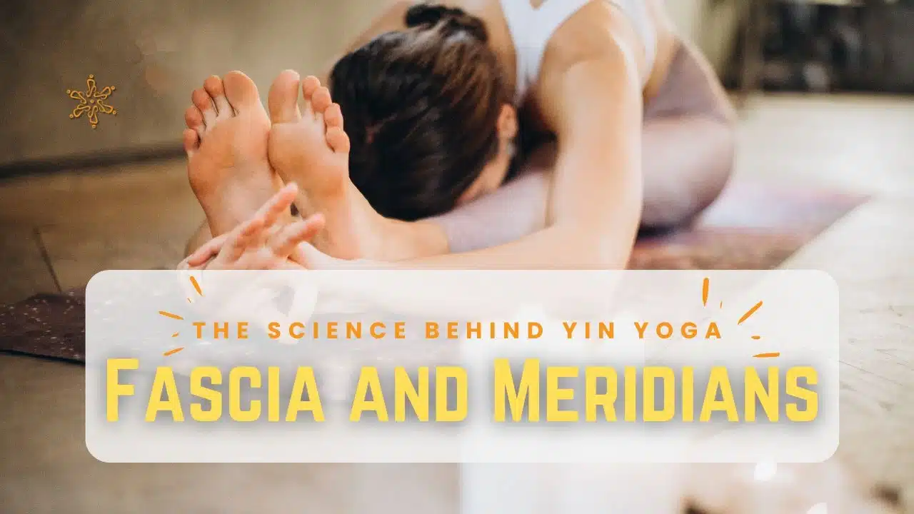 You are currently viewing Fascia and Meridians: The Science Behind Yin Yoga